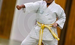 Karate Shotokan Kata