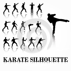 Karate silhouette move set