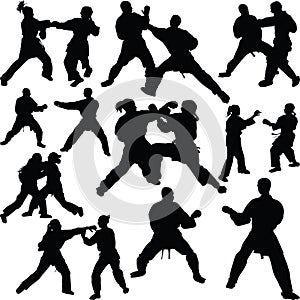 Karate silhouette vector