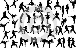 Karate silhouettes set