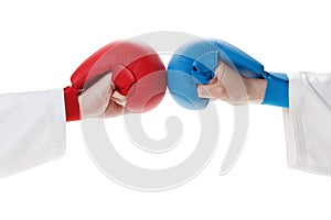 Karate sports glove and fist