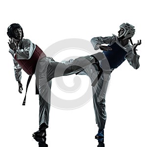 Karate taekwondo martial arts man woman couple silhouette