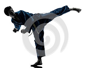 Karate vietvodao martial arts man silhouette