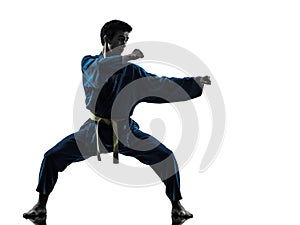 Karate vietvodao martial arts man silhouette