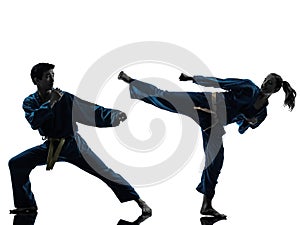 Karate vietvodao martial arts man woman couple silhouette