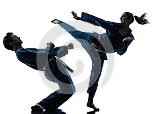 Karate vietvodao martial arts man woman couple silhouette