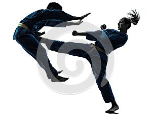 Karate vietvodao martial arts man woman couple silhouette