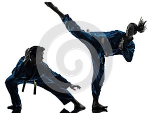 Karate vietvodao martial arts man woman couple silhouette