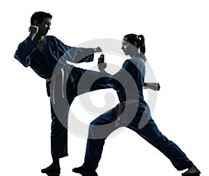 Karate vietvodao martial arts man woman couple silhouette