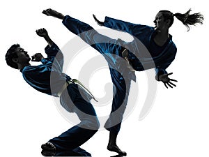 Karate vietvodao martial arts man woman silhouette photo