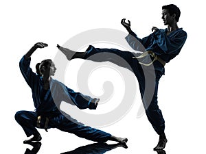 Karate vietvodao martial arts man woman silhouette