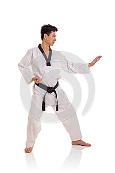 Karateka fighting stance side view figure full length