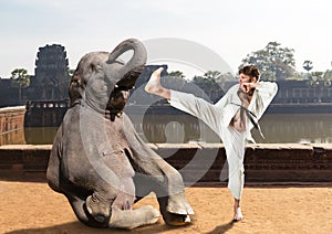 Karateka fights with elephant