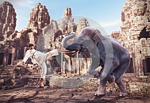 Karateka fights with elephant