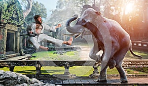 Karateka fights with elephant photo
