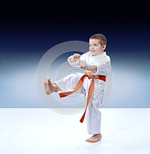 Karateka hits a kick on a gradient background