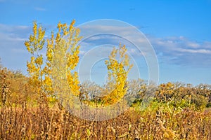 Karcher Springs Marsh Wildlife Area photo