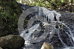 Karekare cascade New Zealand