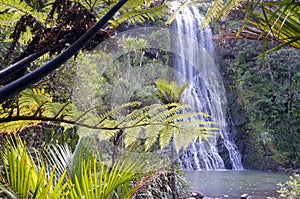 Karekare Falls as seeing through native bush of New Zealand