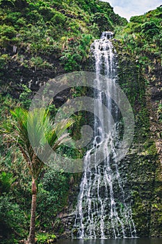 Karekare high waterfall near Auckland, New Zealand