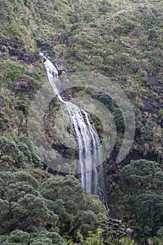 Karekare waterfall, Waitakere Ranges Regional Park, New Zealand