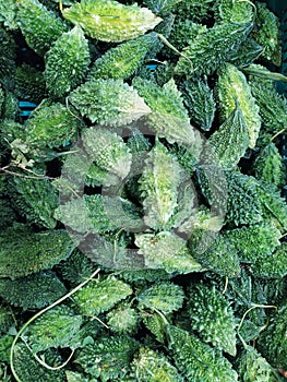 Karela is momordica charantia, bitter gourd or simply bitter melon.