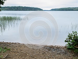 Karelian Lake in the Morning Water Mirror, Grass, Trees and San