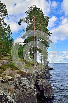 Karelian landscape - rocks, pine trees and water. Lake Keret, Northern Karelia, Russia