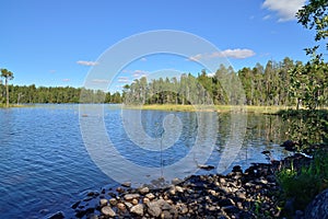 Karelian landscape - rocks, pine trees and water. Lake Keret, Northern Karelia, Russia