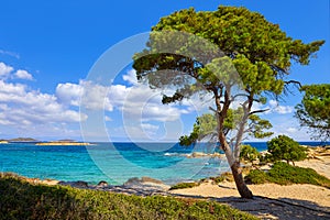 Karidi Beach peninsula Sithonia Chalkidiki Greece