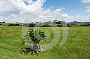 Karikari peninsula northland New Zealand