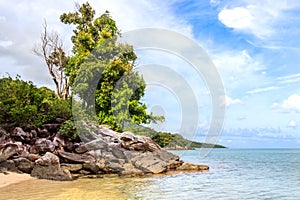 Karimunjawa indonesia java beach coastline rocks
