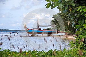 Karimunjawa indonesia java beach coastline rocks