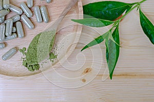 Kariyat or andrographis paniculata powder in wooden spoon with herbal capsules and banch green leaves on wood dish