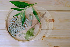 Kariyat or andrographis paniculata powder in wooden spoon with herbal capsules and banch green leaves on wood dish