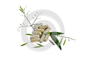 Kariyat herb Capsules