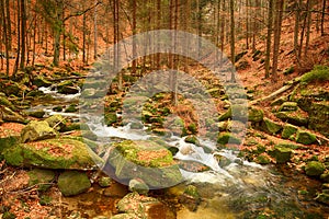 Karkonoski National Park, Szklarska Poreba, Poland