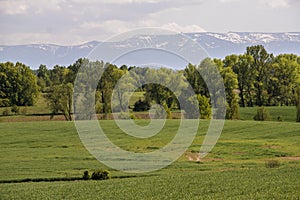 Karkonoskie Foothills in Poland