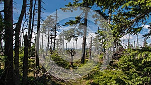 Karkonosze Mountain View