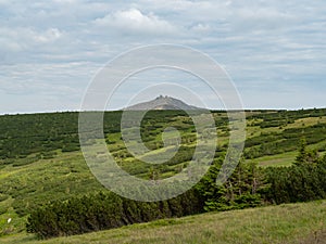 Karkonosze mountains, Forest on the slopes of the mountains. Sniezka top in the background.