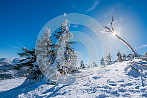 Karkonosze mountains winterscape