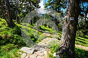 Karkonosze National Park in beautiful green colors