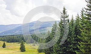 Karkonosze - Polish mountains. Mountains, trails and vegetation in the summer