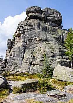 Karkonosze - Polish mountains. Mountains, trails and vegetation in the summer