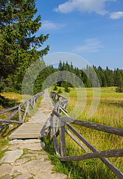 Karkonosze - Polish mountains. Mountains, trails and vegetation in the summer