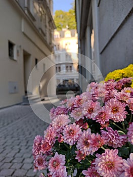 Karlovy Vary, Czech Republic, EU - famous spa city