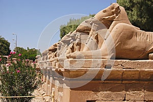 Karnak - Egypt