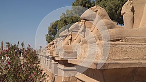 Karnak Temple. Avenue of sphinxes with ram`s head. Around Luxor. Egypt.