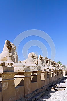 Karnak Temple Complex, Luxor, Egypt. photo