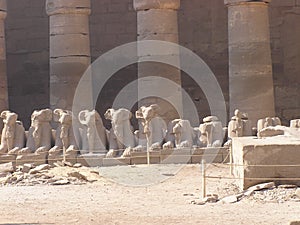 Karnak temple, Egypt, Africa - sphinxes photo